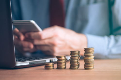 项目投资价值分析报告